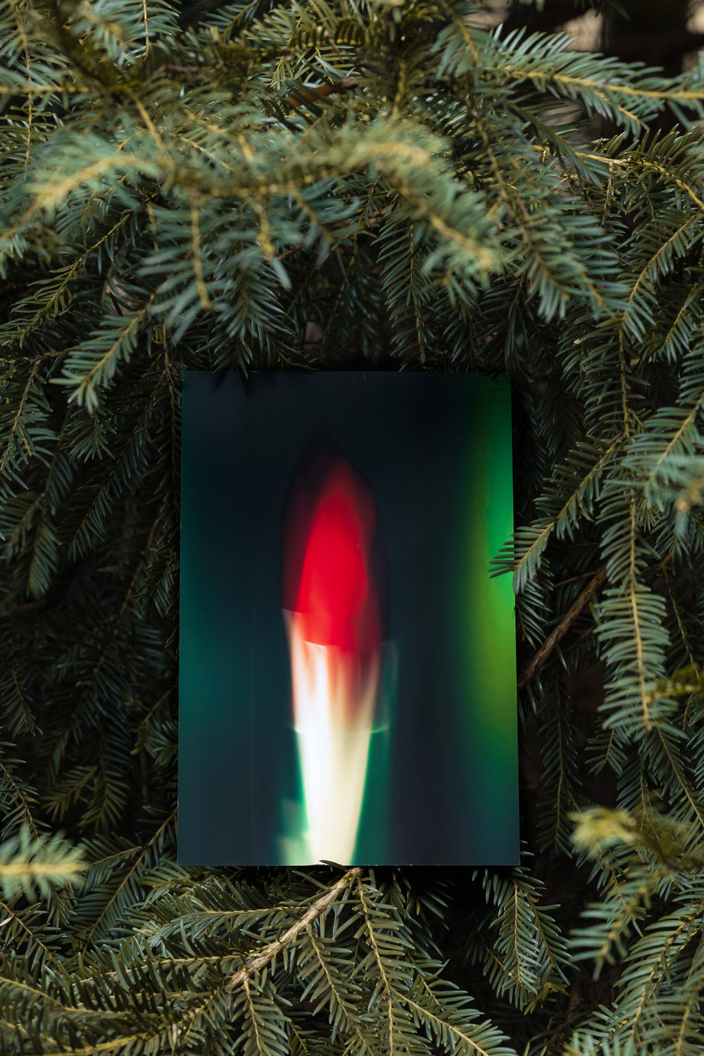 Bandeira de beleza no.1