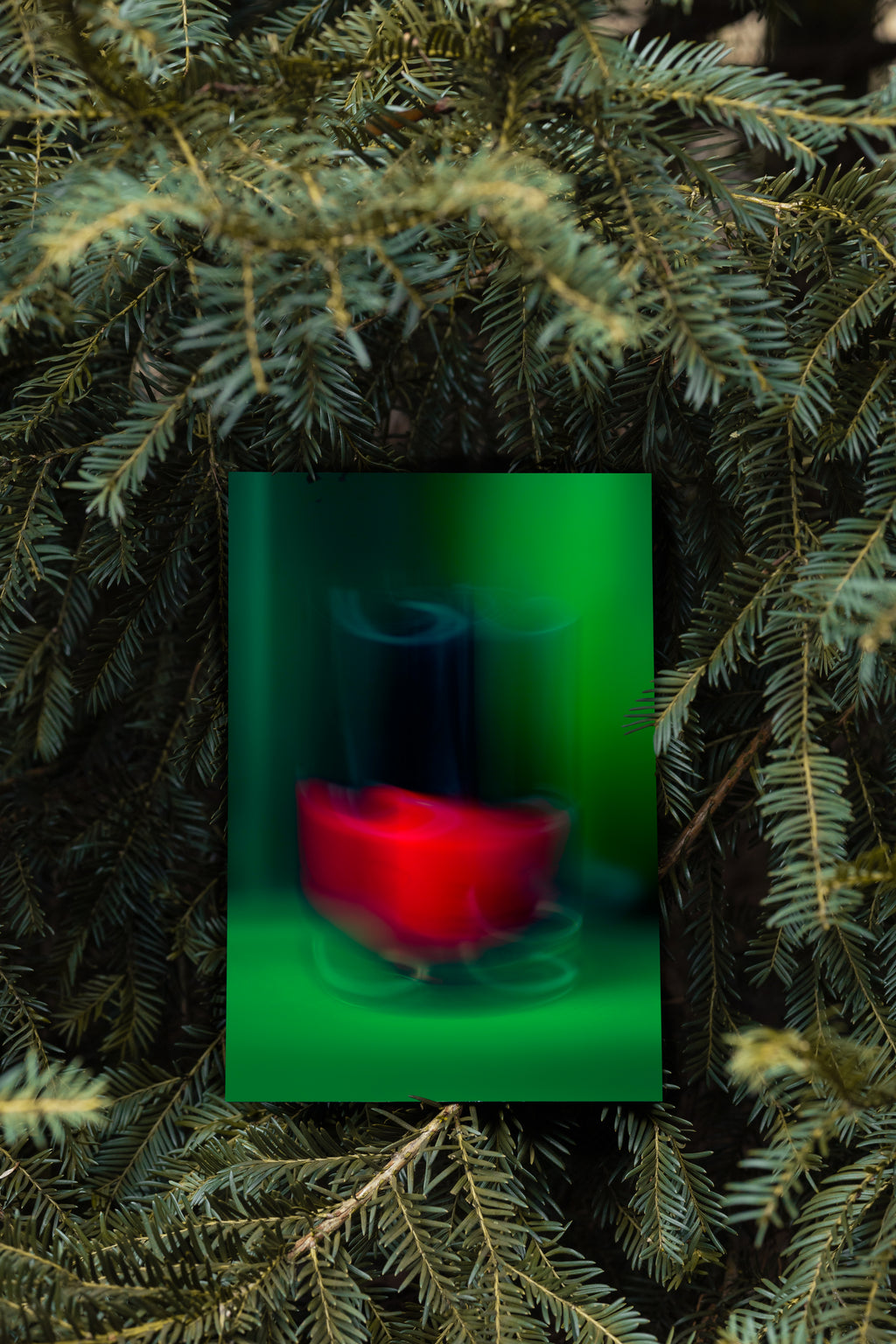 Bandeira de beleza no.2