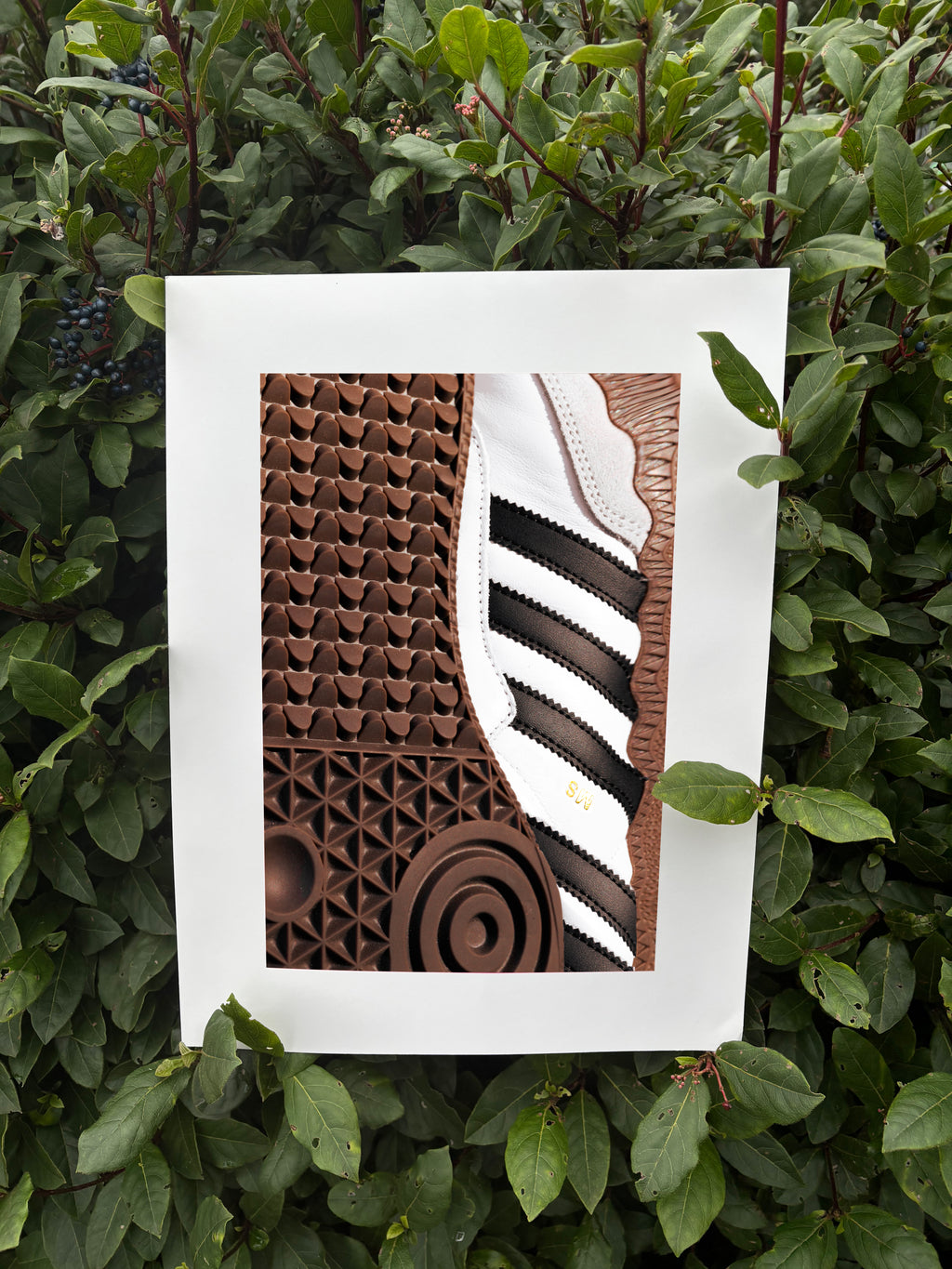 Brown Shapes