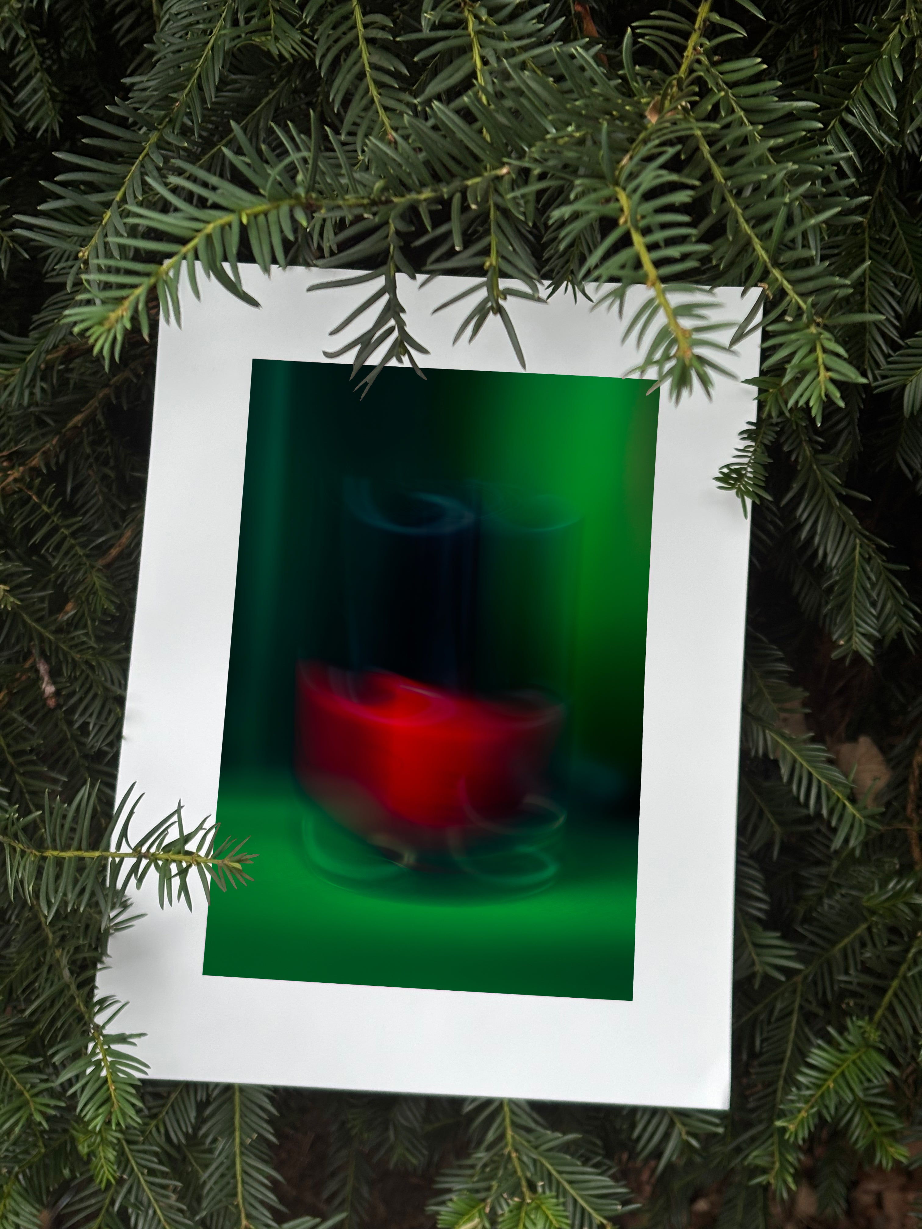 Bandeira de beleza no.2