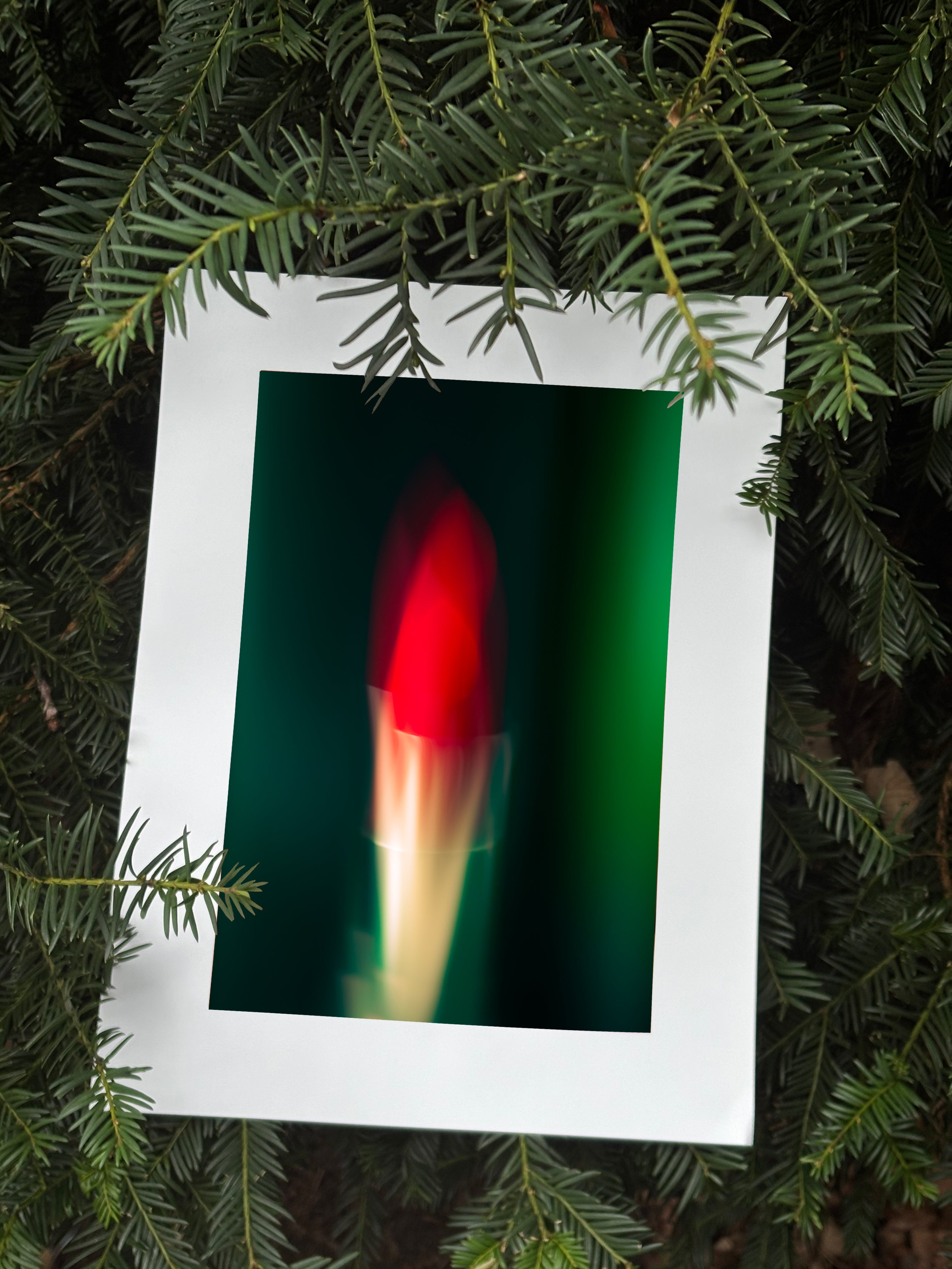 Bandeira de beleza no.1