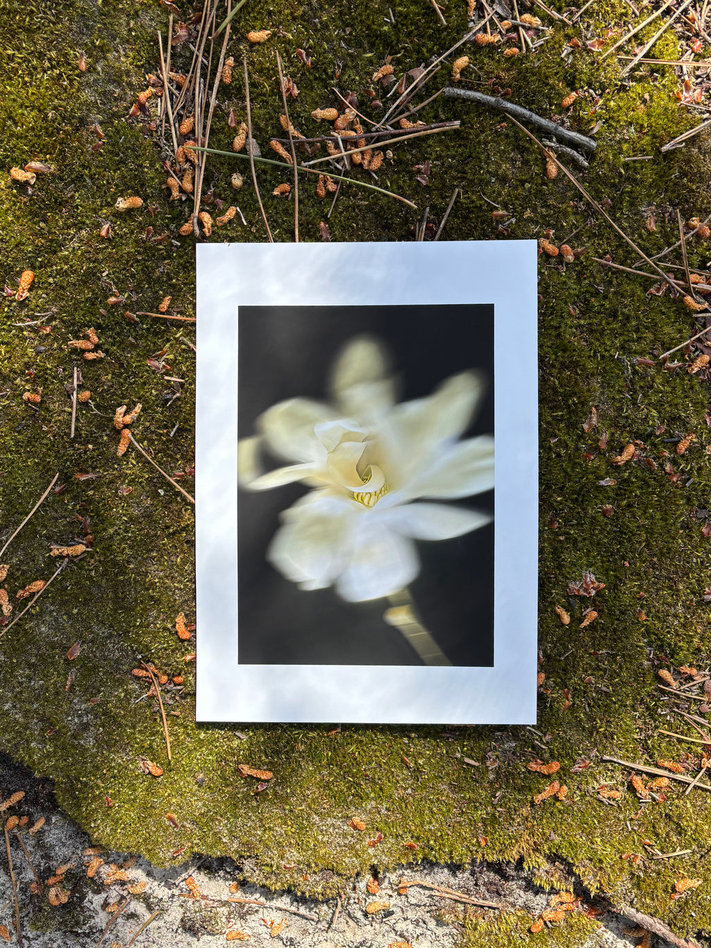 Dancing White