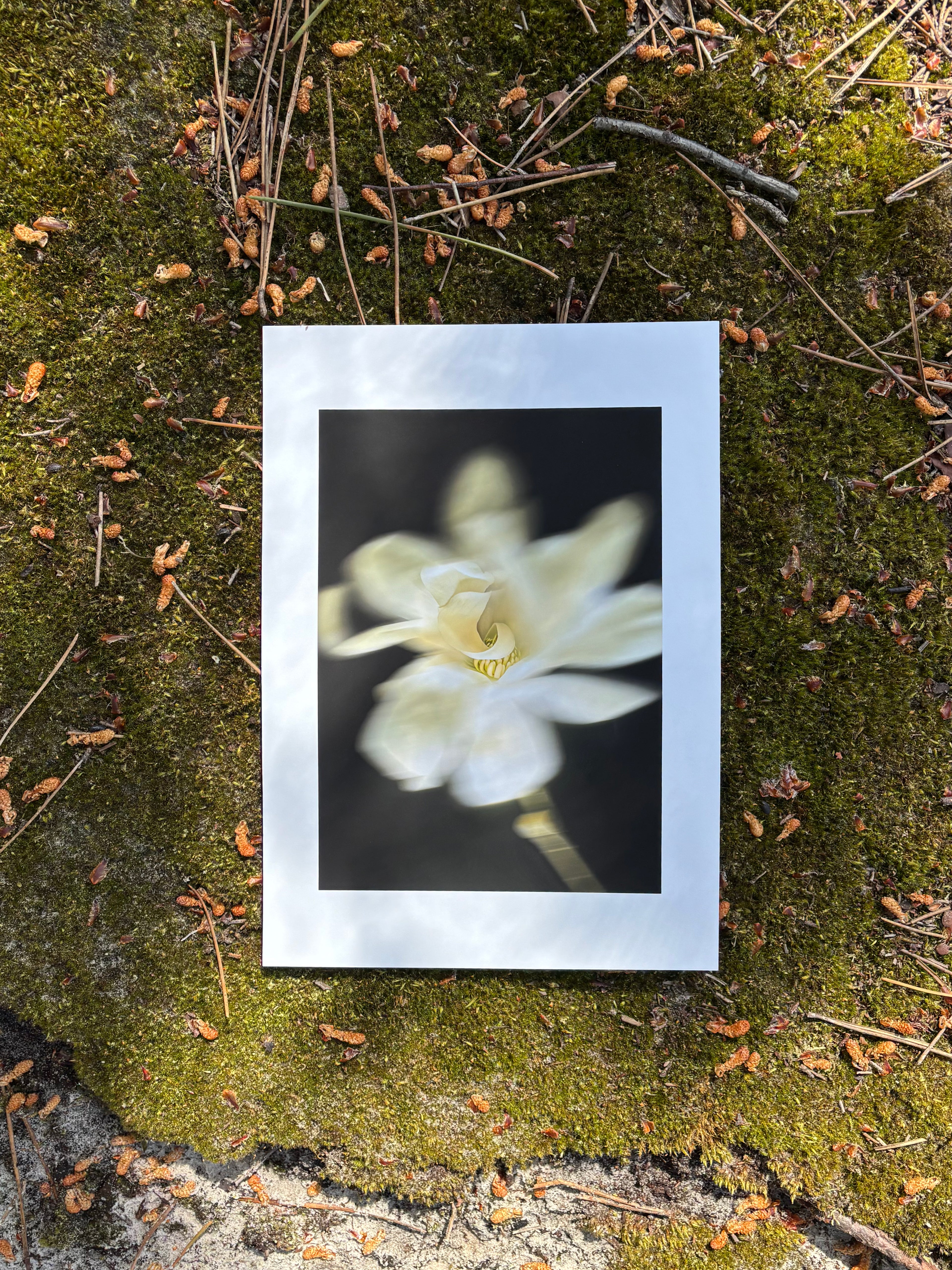 Dancing White